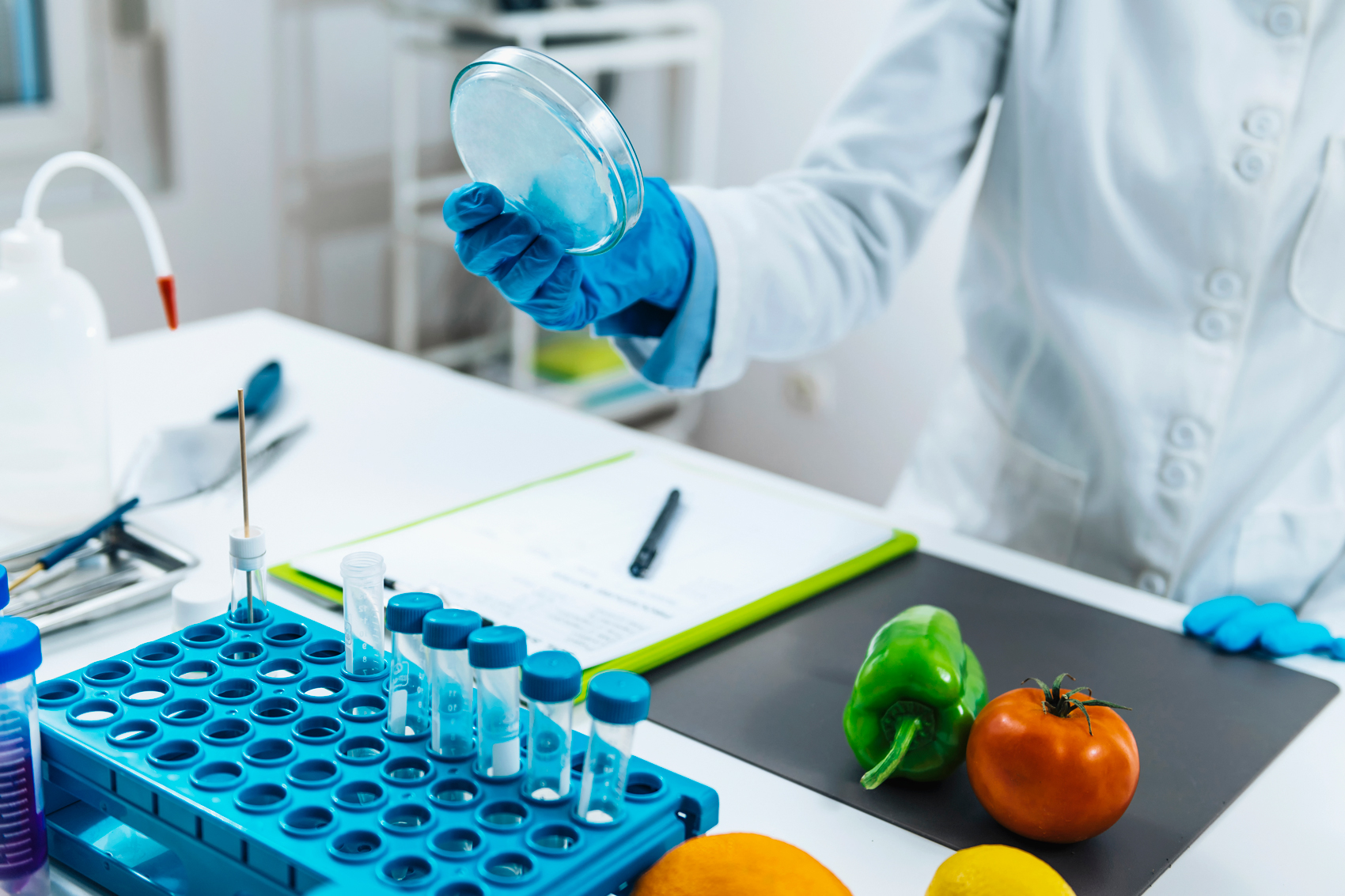 food-quality-assessment-in-microbiology-laboratory-6GZURSY.jpg